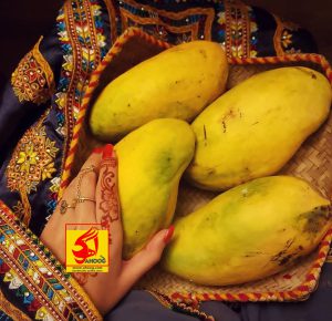 میوه انبه سوغات سیستان و بلوچستان